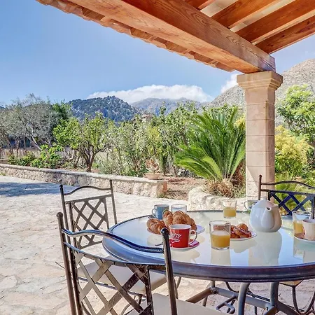 فيلة Joan بويينسا